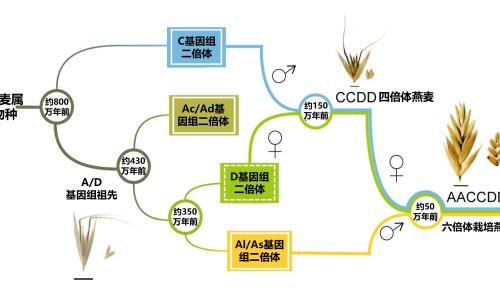 新生儿个性化取名-婴儿出生个性签名网-分享婴儿出生文案短句干净，宝宝个性签名唯美句子知识库